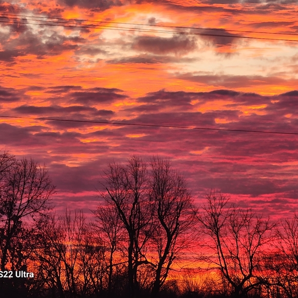 Meet your Posher, Trish - Picture 2 of 4